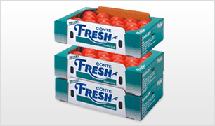 フレッシュコンテ